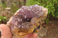 Natural Unusual Red Zululand Agate and Amethyst Geodes x 5 From South Africa