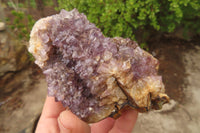 Natural Unusual Red Zululand Agate and Amethyst Geodes x 5 From South Africa