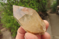 Natural Citrine Single Crystals x 20 From Luena, Congo