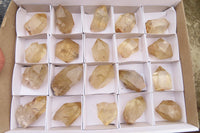 Natural Citrine Single Crystals x 20 From Luena, Congo