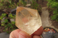 Natural Citrine Single Crystals x 20 From Luena, Congo