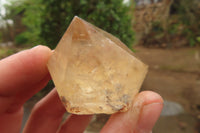 Natural Citrine Single Crystals x 20 From Luena, Congo