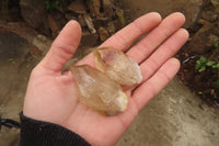 Natural Citrine Single Crystals x 20 From Luena, Congo