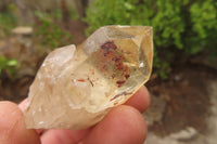 Natural Citrine Single Crystals x 20 From Luena, Congo