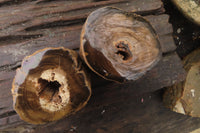 Polished Petrified Wood Branch Pieces x 3 From Gokwe, Zimbabwe