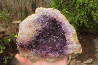 Natural Zululand Dark Amethyst Geode x 1 from Jozini, South Africa