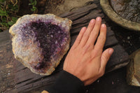 Natural Zululand Dark Amethyst Geode x 1 from Jozini, South Africa