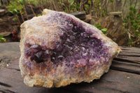 Natural Zululand Dark Amethyst Geode x 1 from Jozini, South Africa