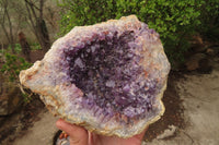 Natural Zululand Dark Amethyst Geode x 1 from Jozini, South Africa