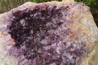 Natural Zululand Dark Amethyst Geode x 1 from Jozini, South Africa