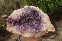 Natural Zululand Dark Amethyst Geode x 1 from Jozini, South Africa