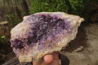 Natural Zululand Dark Amethyst Geode x 1 from Jozini, South Africa