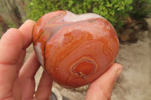 Polished Polychrome Jasper Hearts x 6 From Madagascar