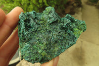 Natural Silky Malachite Specimens x 6 From Kasompe, Congo