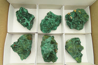 Natural Silky Malachite Specimens x 6 From Kasompe, Congo