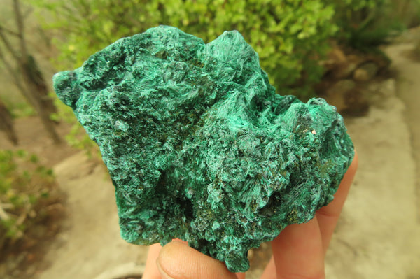 Natural Silky Malachite Specimens x 6 From Kasompe, Congo