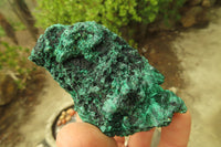 Natural Silky Malachite Specimens x 6 From Kasompe, Congo