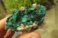 Natural Silky Malachite Specimens x 6 From Kasompe, Congo