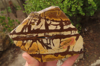 Polished On One Side Nguni Jasper Specimens x 2 From Prieska, South Africa