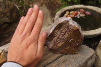 Polished On One Side Nguni Jasper Specimens x 2 From Prieska, South Africa