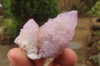 Natural Ametrine Spirit Quartz Specimens x 24 From Boekenhouthoek, South Africa