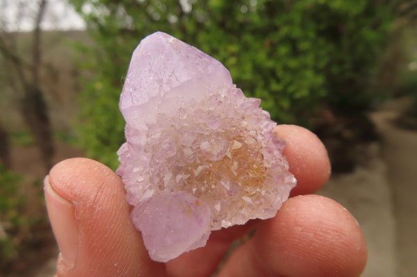 Natural Ametrine Spirit Quartz Specimens x 24 From Boekenhouthoek, South Africa