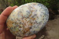 Polished Dendritic Opal Standing Free Forms x 3 From Madagascar