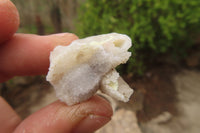 Natural Drusy Quartz Coated Calcite Pseudomorph Specimens x 70 From Lesotho