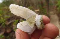 Natural Drusy Quartz Coated Calcite Pseudomorph Specimens x 70 From Lesotho