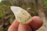 Natural Drusy Quartz Coated Calcite Pseudomorph Specimens x 70 From Lesotho