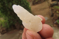 Natural Drusy Quartz Coated Calcite Pseudomorph Specimens x 70 From Lesotho