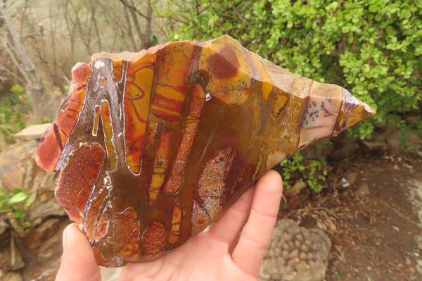 Polished On One Side Nguni Jasper Specimens x 3 From Prieska, South Africa