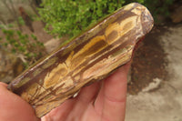 Polished On One Side Nguni Jasper Specimens x 3 From Prieska, South Africa