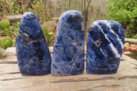 Polished Sodalite Standing Free Forms x 3 From Kunene River, Namibia