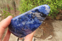 Polished Sodalite Standing Free Forms x 3 From Kunene River, Namibia