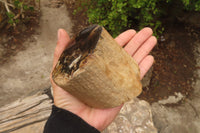 Polished Petrified Wood Branch Pieces x 3 From Gokwe, Zimbabwe