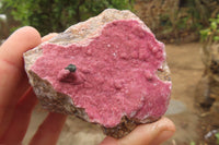 Natural Salrose Cobaltion Dolomite Specimens x 6 From Kakanda, Congo