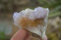 Natural Ametrine Spirit Quartz Clusters x 6 From Boekenhouthoek, South Africa