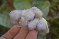 Natural Ametrine Spirit Quartz Clusters x 6 From Boekenhouthoek, South Africa