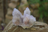 Natural Ametrine Spirit Quartz Clusters x 6 From Boekenhouthoek, South Africa