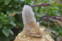 Natural Ametrine Spirit Quartz Clusters x 6 From Boekenhouthoek, South Africa