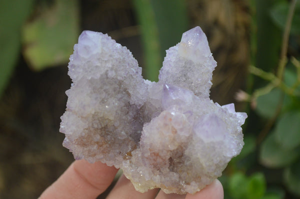 Natural Ametrine Spirit Quartz Clusters x 6 From Boekenhouthoek, South Africa