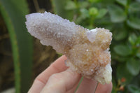 Natural Ametrine Spirit Quartz Clusters x 6 From Boekenhouthoek, South Africa