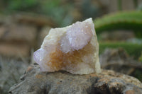 Natural Ametrine Spirit Quartz Clusters x 6 From Boekenhouthoek, South Africa