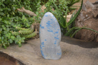 Polished Blue Spinel Spotted Quartz Standing Free Form x 1 From Madagascar