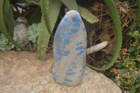 Polished Blue Spinel Spotted Quartz Standing Free Form x 1 From Madagascar