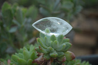 Polished Clear Quartz "Angel Tears" Pendant Pieces x 20 From Madagascar