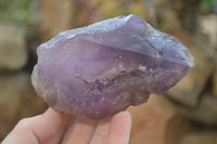 Polished Window Amethyst Crystals x 4 From Madagascar