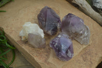 Polished Window Amethyst Crystals x 4 From Madagascar