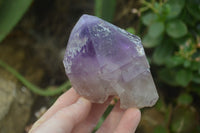 Polished Window Amethyst Crystals x 4 From Madagascar